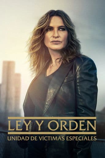 Poster de La Ley y el Orden: Unidad de Víctimas Especiales